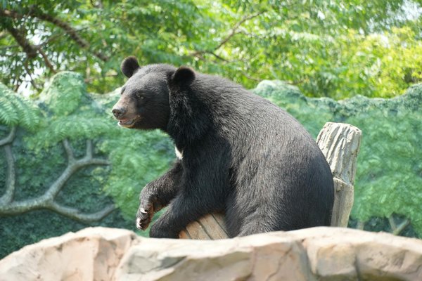 Exploration des dynamiques sociales au centre de l'univers de la mode : une vue inédite et avant-gardiste