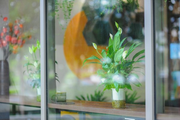 Guide complet pour optimiser l'installation de votre climatisation