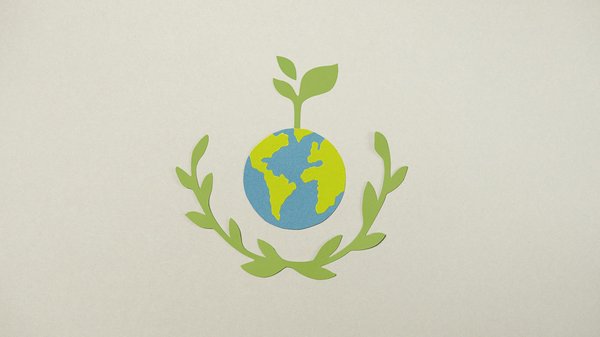 L'Art de Cuisiner avec le Vin : Sélection et Utilisation Revisitée